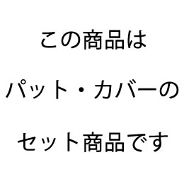 新カラーセット